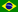 Brazilian